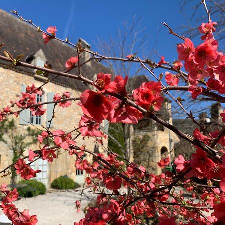 Bed and Breakfast La Tour De Cause Castelnaud La Chapelle Exteriér fotografie