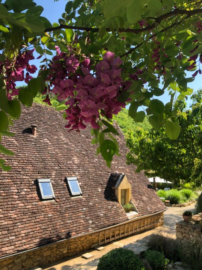 Bed and Breakfast La Tour De Cause Castelnaud La Chapelle Exteriér fotografie