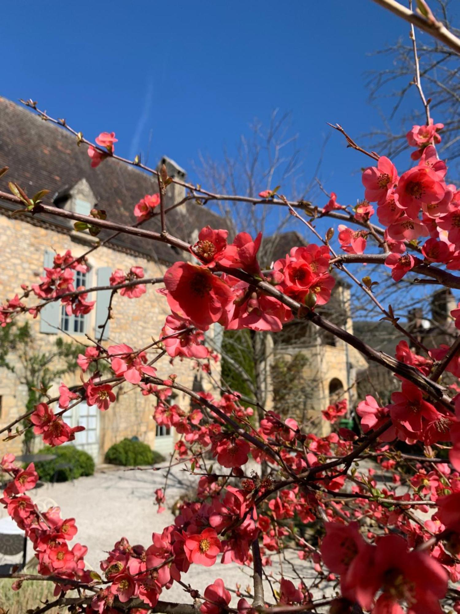 Bed and Breakfast La Tour De Cause Castelnaud La Chapelle Exteriér fotografie