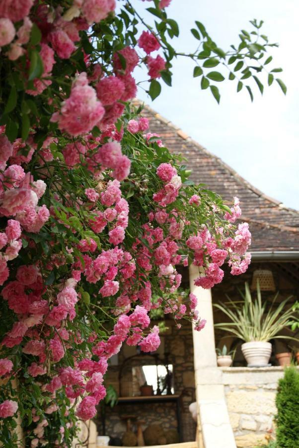 Bed and Breakfast La Tour De Cause Castelnaud La Chapelle Exteriér fotografie